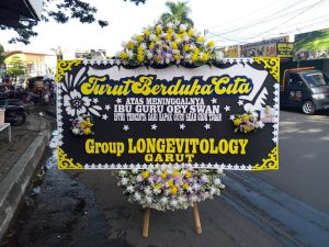 Bunga Papan 8