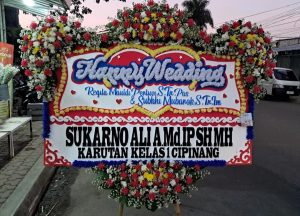 Bunga Papan 6