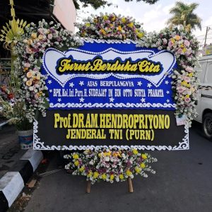 Bunga Papan 16