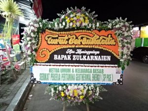 Bunga Papan 13