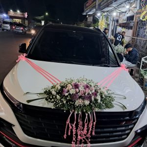 Dekorasi Mobil 17